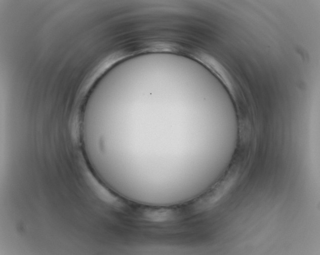X0000114230851200910231502