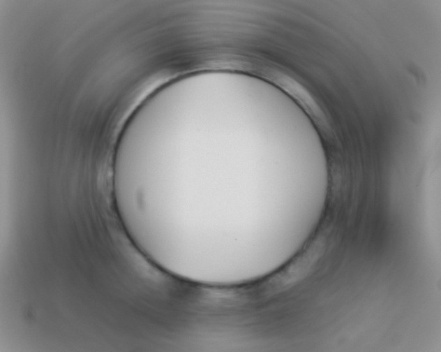 X0000114230852200910231502
