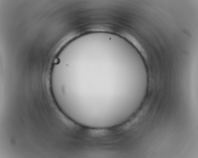X0000114230853200910231502