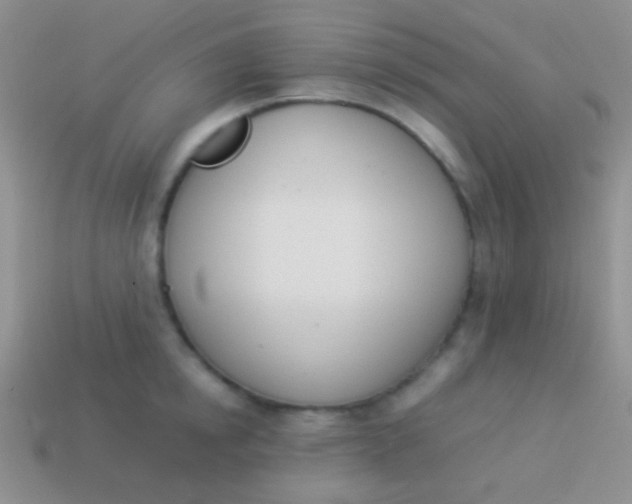 X0000114230854200910231502