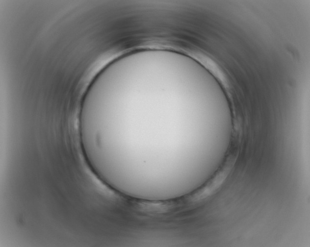 X0000114230855200910231502