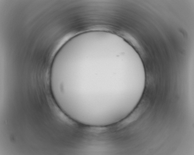 X0000114230860200910231502