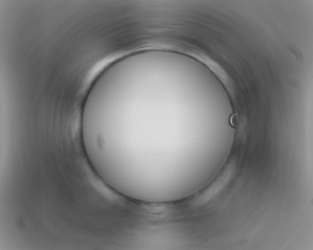 X0000114230862200910231502