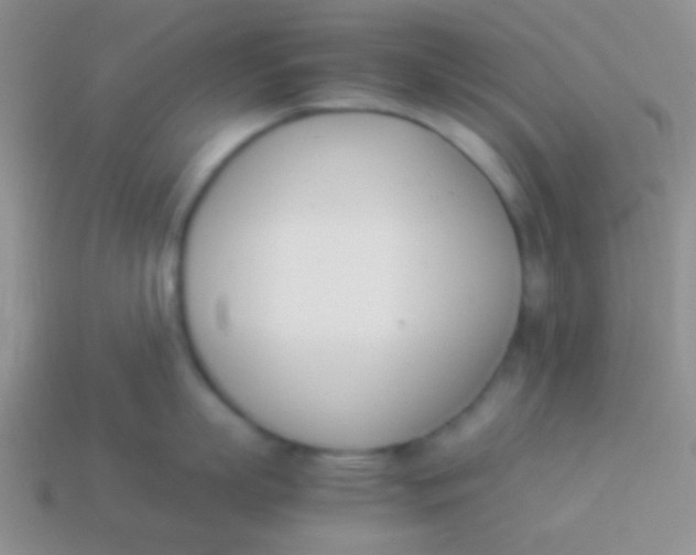 X0000114230863200910231502