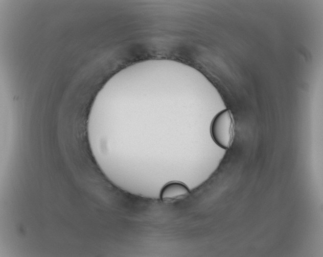 X0000114230865200910231502