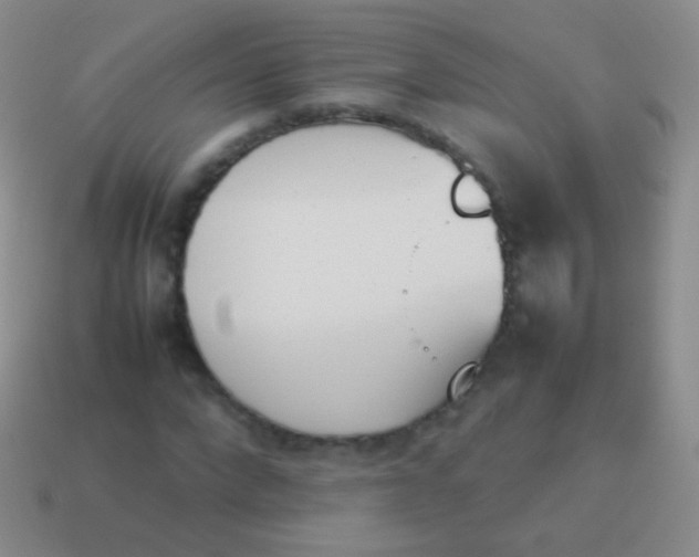 X0000114230872200910231501
