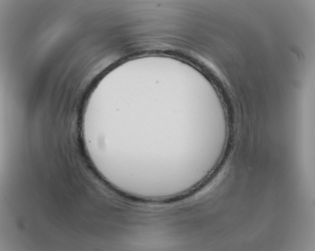 X0000114230873200910231501