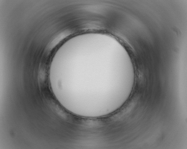 X0000114230874200910231501