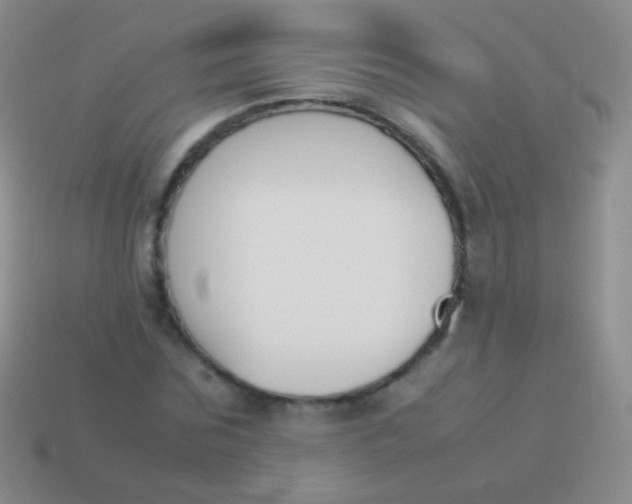 X0000114230875200910231501