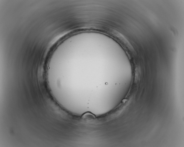 X0000114230876200910231501