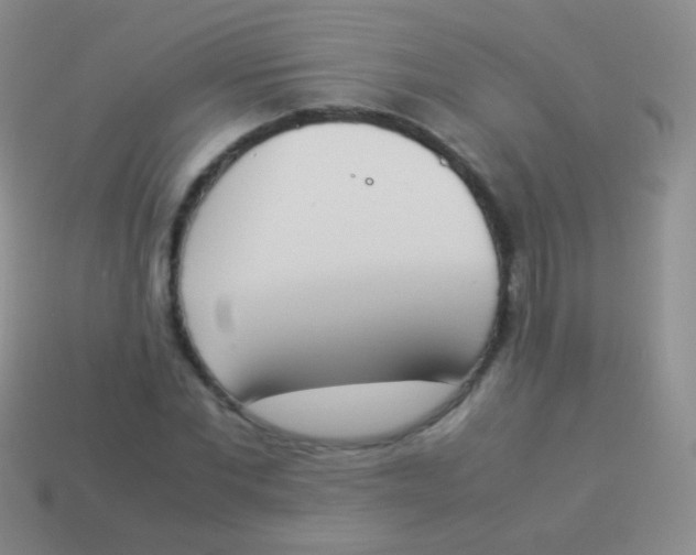 X0000114230877200910231501
