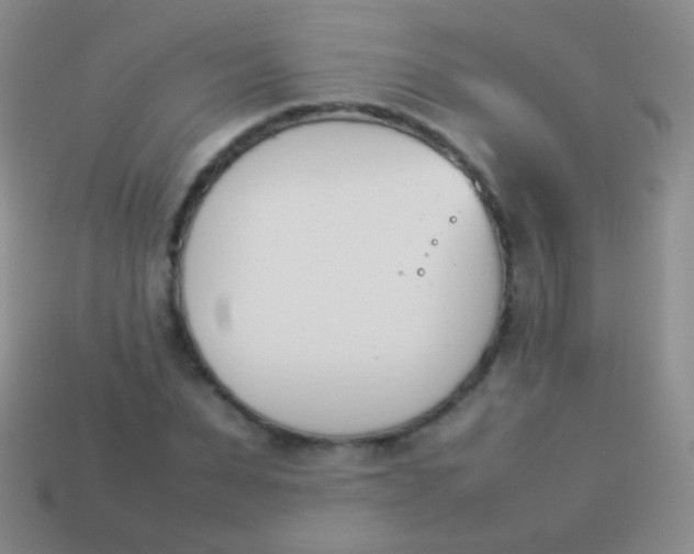 X0000114230879200910231501