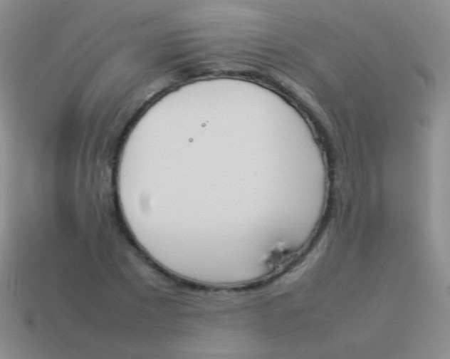 X0000114230881200910231501