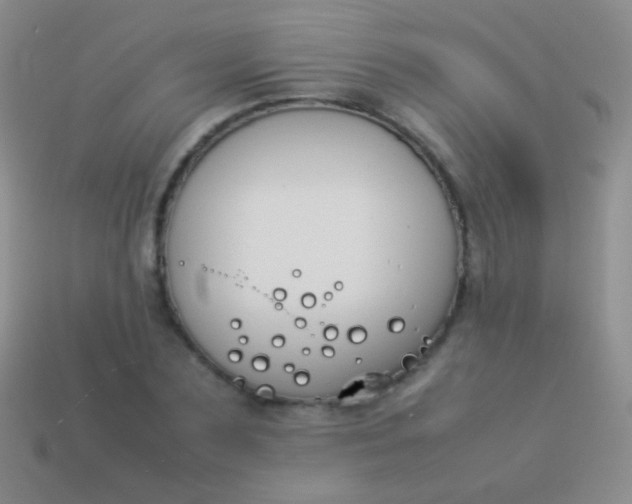 X0000114230883200910231501