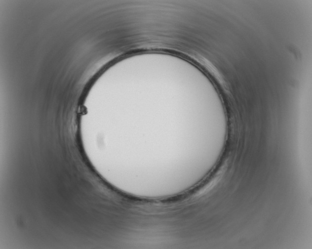 X0000114230885200910231501