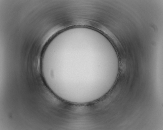X0000114230886200910231501