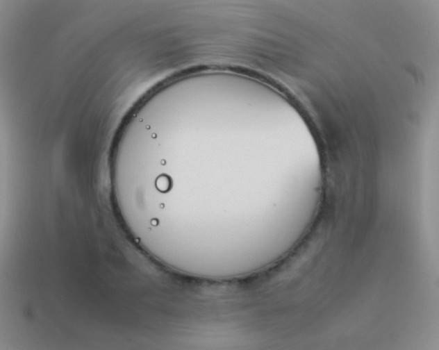 X0000114230887200910231501