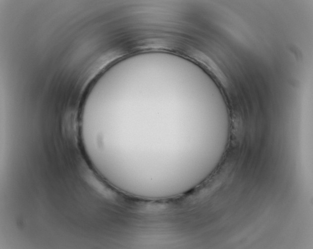 X0000114230890200910231501