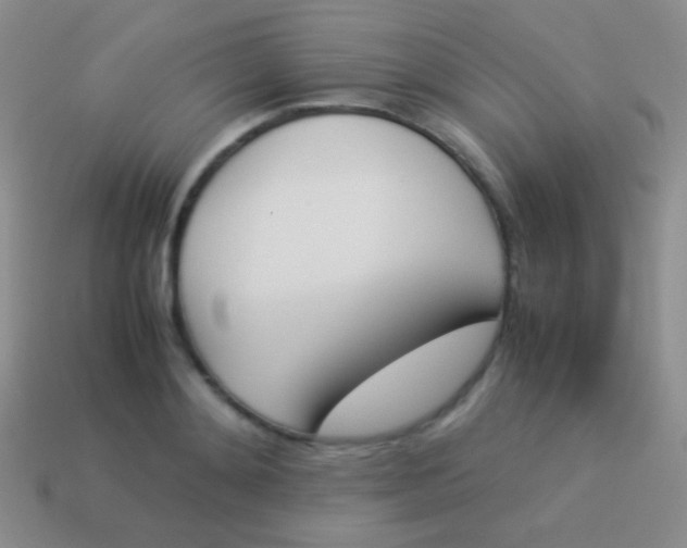 X0000114230892200910231501