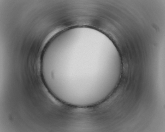 X0000114230894200910231501