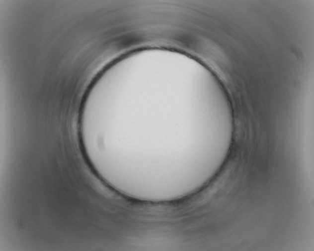 X0000114230895200910231501