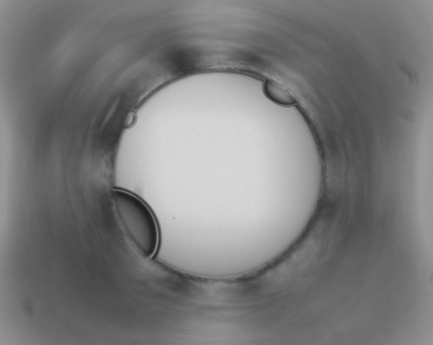 X0000114230897200910231501