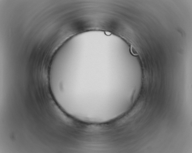 X0000114230898200910231501