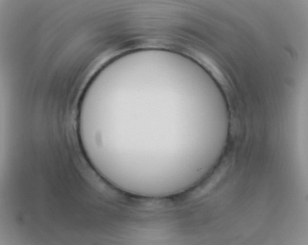 X0000114230899200910231501