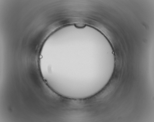 X0000114230901200910231501