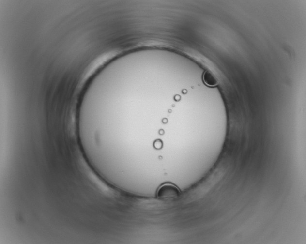 X0000114230902200910231501