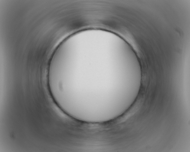X0000114230903200910231501