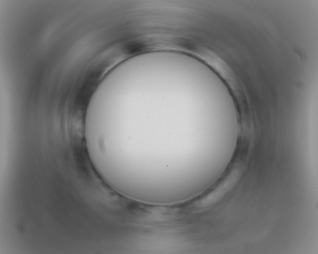 X0000114230905200910231501