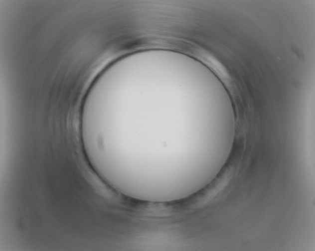 X0000114230907200910231501