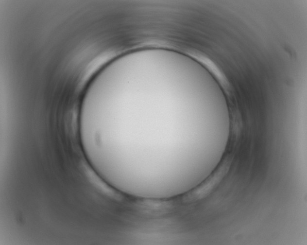 X0000114230910200910231501