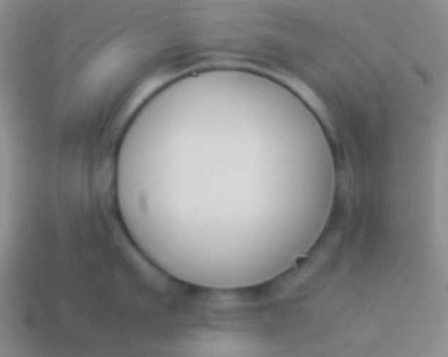 X0000114230911200910231501