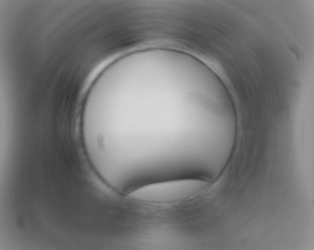X0000114230912200910231501