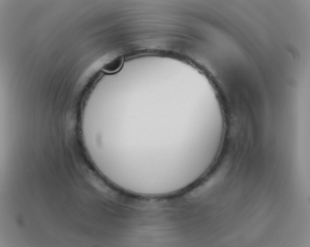 X0000114230922200910231500