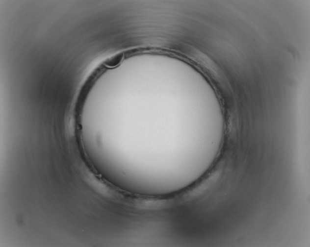 X0000114230924200910231501