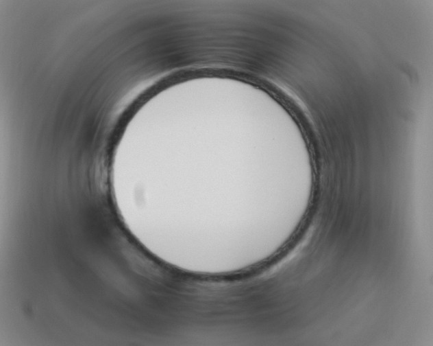 X0000114230925200910231501