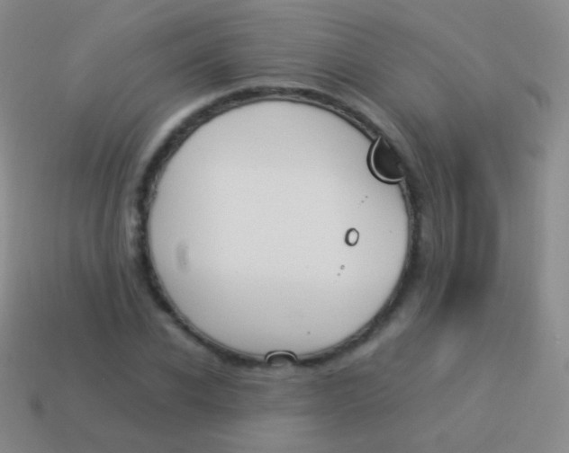 X0000114230926200910231501