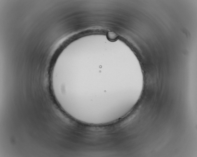 X0000114230927200910231501