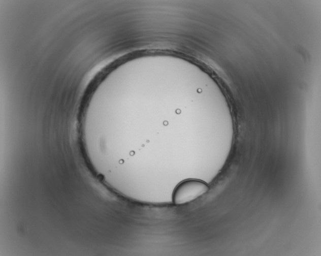 X0000114230928200910231501