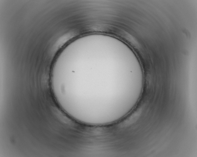 X0000114230930200910231501