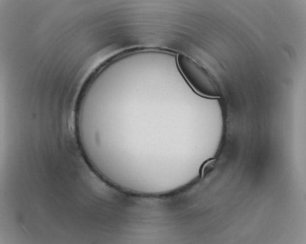 X0000114230932200910231501