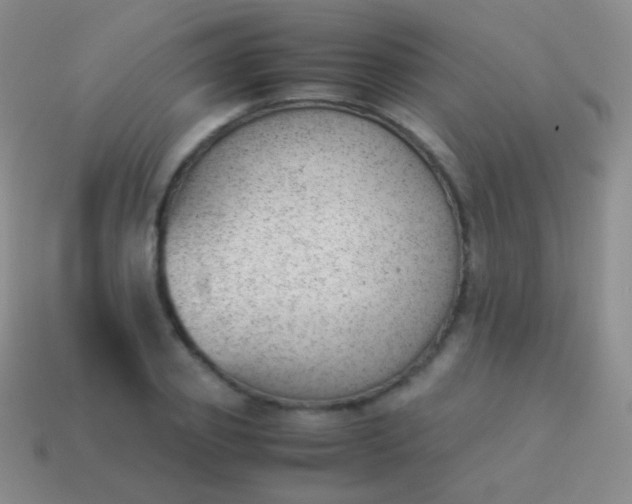 X0000114230933200910231501