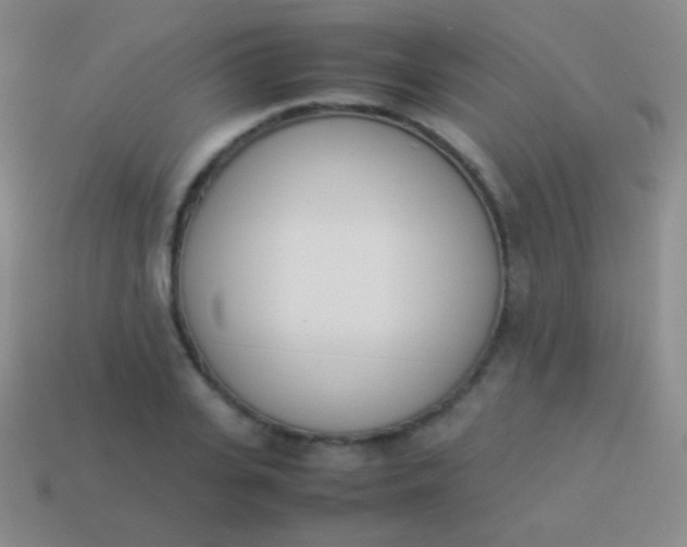 X0000114230935200910231501