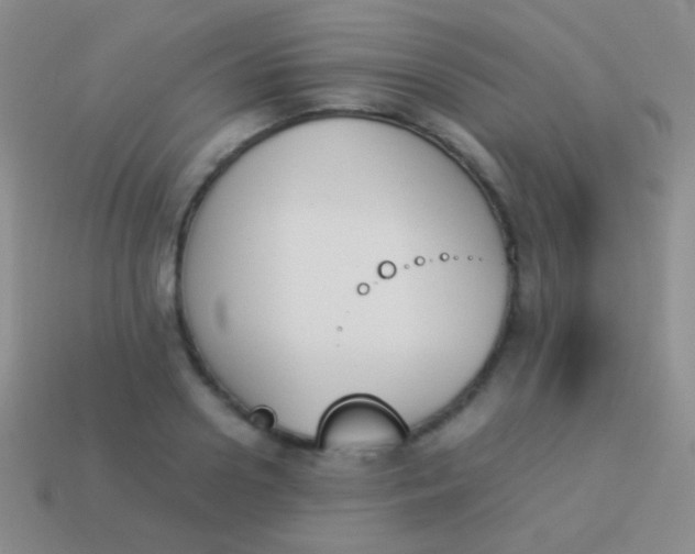 X0000114230938200910231501