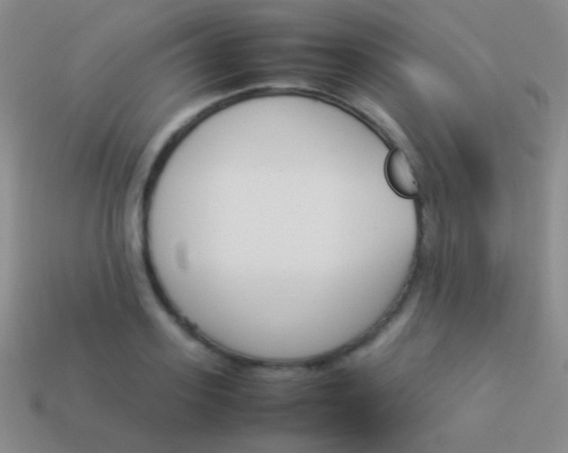 X0000114230939200910231501