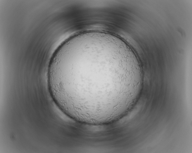 X0000114230941200910231501