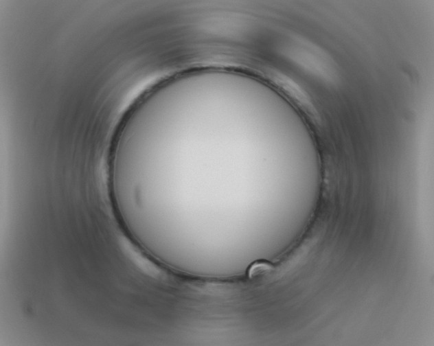 X0000114230942200910231501
